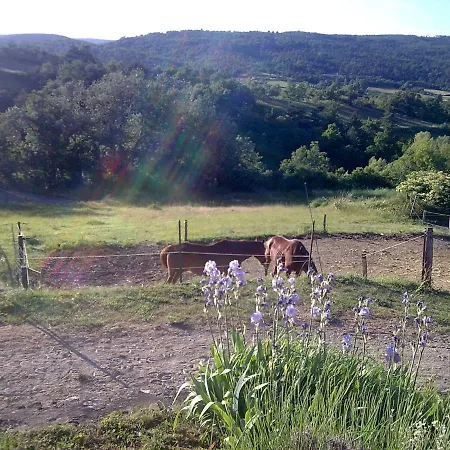 Gite Provence Luberon -Paca- Acces Pmr-Ancv Revest-des-Brousses Extérieur photo