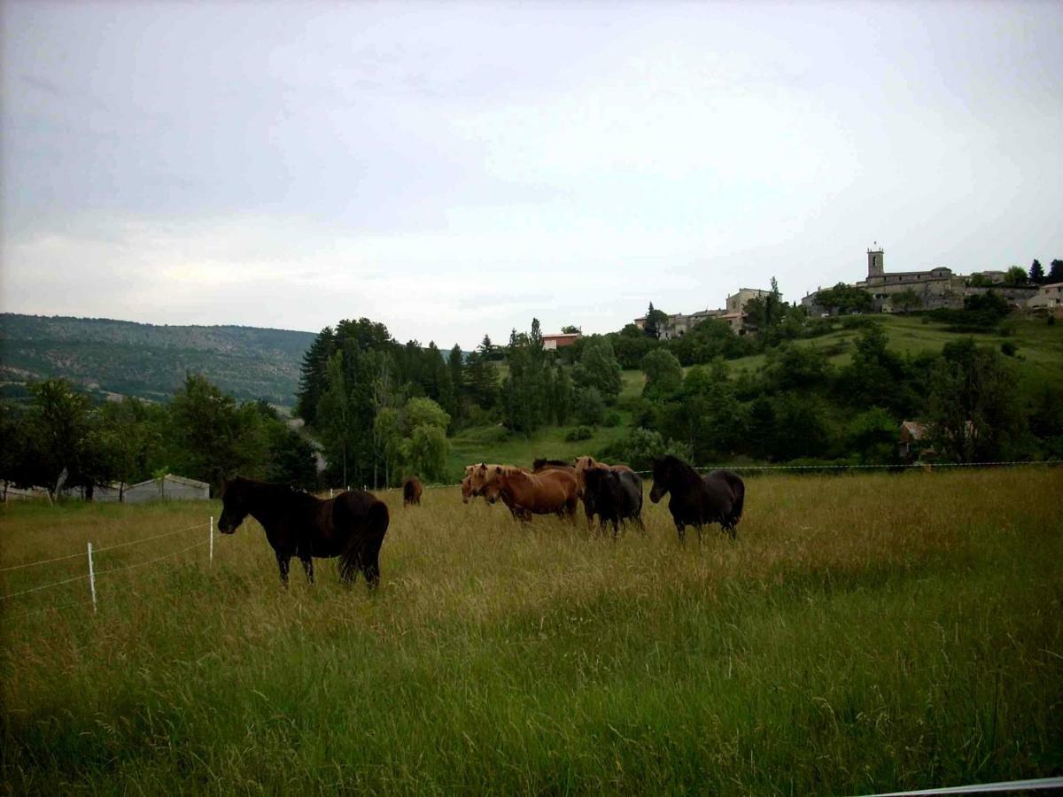 Provence Luberon -paca- Acces Pmr-ancv Revest-des-Brousses